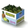 Case of Dollhouse Miniature Pineapple