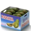 Case of Dollhouse Miniature Papayas