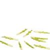 10 Dollhouse Miniature Asparagus