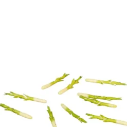 10 Dollhouse Miniature Asparagus