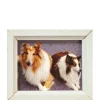 Dollhouse Miniature Collie Dogs Painting