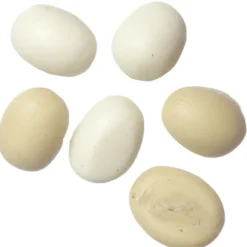 Dollhouse Miniature Eggs