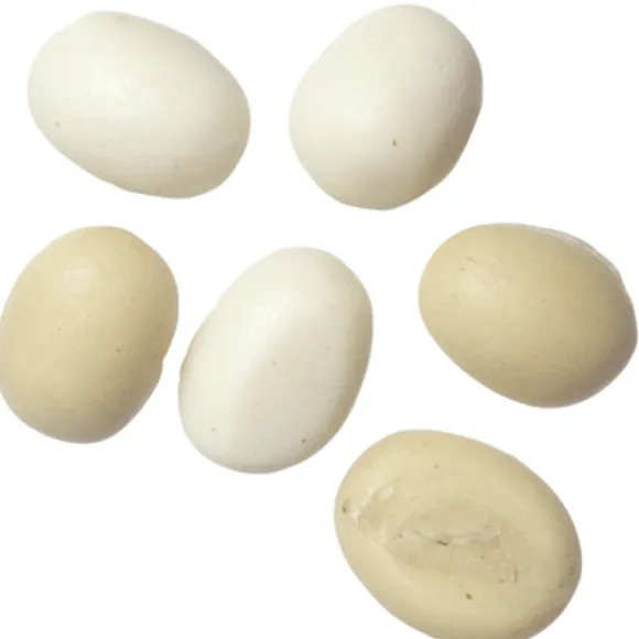Dollhouse Miniature Eggs