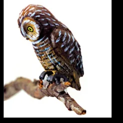 Dollhouse Miniature Fishing Owl