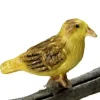 Dollhouse Miniature Norwich Fancy Canary
