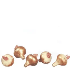Dollhouse Miniature Onions