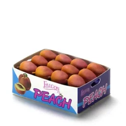 Dollhouse Miniature Peach Case