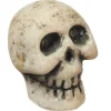 Dollhouse Miniature Skeleton Skull