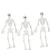 Dollhouse Miniature Skeletons