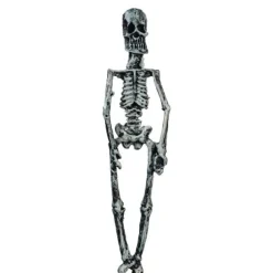 Dollhouse Miniature Skeleton