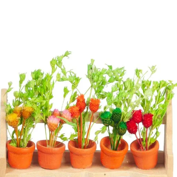 Dollhouse Miniature Wild Flowers in a Box