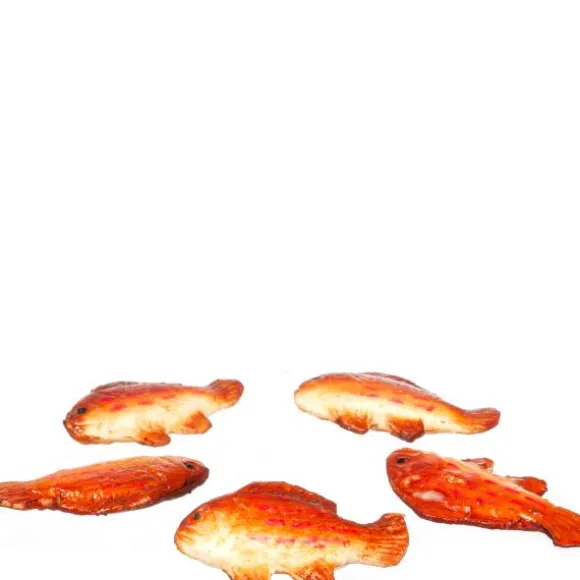 5 Dollhouse Red Snapper