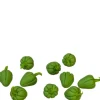 Green Dollhouse Miniature Sweet Peppers