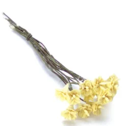 One Dozen Yellow Dollhouse Miniature Camellias