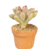 Pale Dollhouse Miniature Potted Cactus